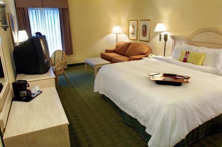Hampton Inn Ellenton/Bradenton Pokój zdjęcie